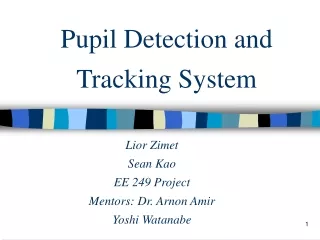 Pupil Detection and Tracking System