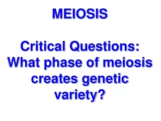MEIOSIS Critical Questions: What phase of meiosis creates genetic variety?