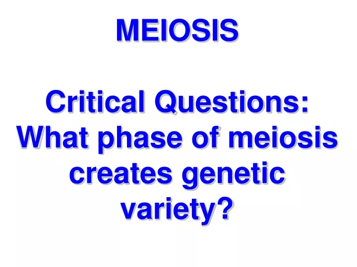 meiosis critical questions what phase of meiosis creates genetic variety