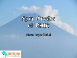 Spin Physics  at RHIC