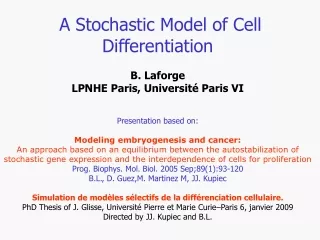 A Stochastic Model of Cell Differentiation B. Laforge LPNHE Paris, Université Paris VI