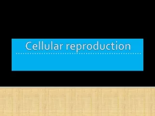 Cellular reproduction