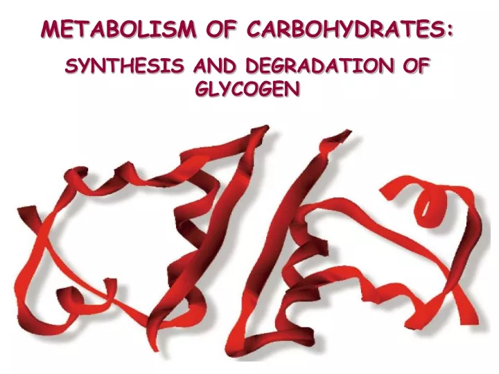 metabolism of carbohydrates synthesis