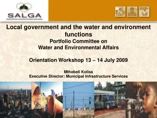 Local government and the water and environment functions Portfolio Committee on