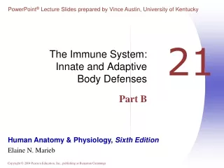 The Immune System:  Innate and Adaptive  Body Defenses Part B