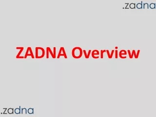 ZADNA Overview