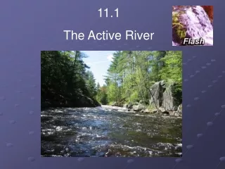 11.1  The Active River