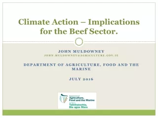 Climate Action – Implications for the Beef Sector.