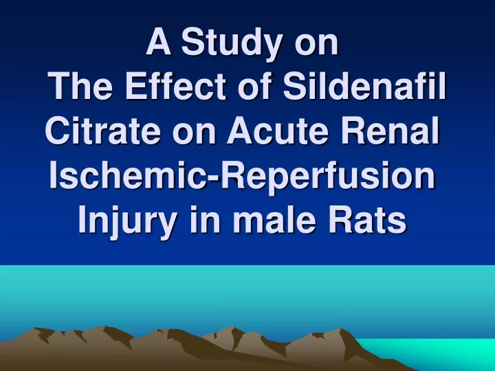 a study on the effect of sildenafil citrate on acute renal ischemic reperfusion injury in male rats