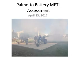 Palmetto Battery METL Assessment
