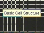 Basic Cell Structure - slide 1
