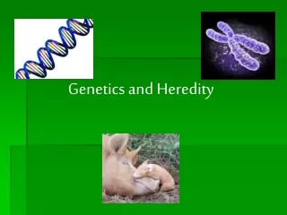 Genetics and Heredity