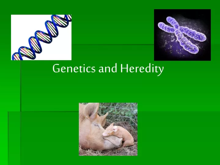 genetics and heredity