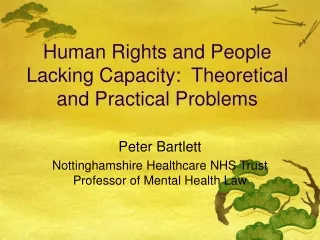 Human Rights and People Lacking Capacity:  Theoretical and Practical Problems