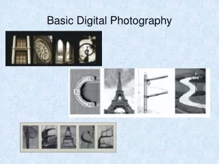 Basic Digital Photography