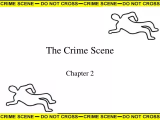 The Crime Scene