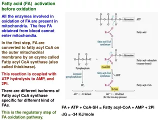Fatty acid (FA)  activation before oxidation