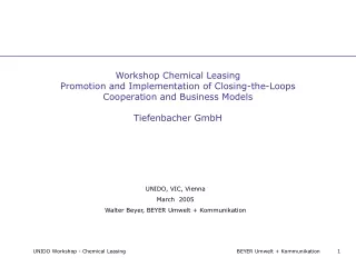 UNIDO, VIC, Vienna March  2005 Walter Beyer, BEYER Umwelt + Kommunikation