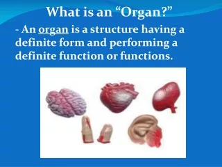What is an “Organ?”
