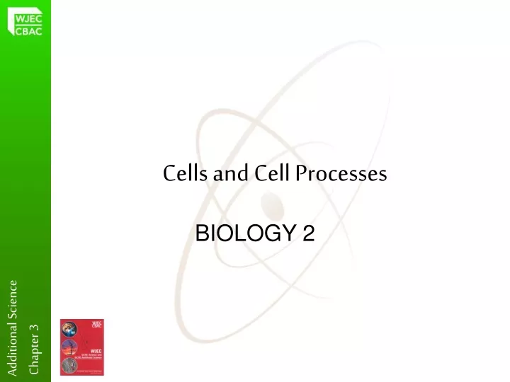 cells and cell processes