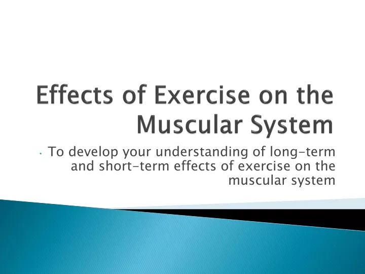 effects of exercise on the muscular system