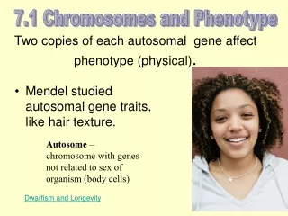 Two copies of each autosomal  gene affect phenotype (physical) .