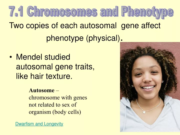 7 1 chromosomes and phenotype