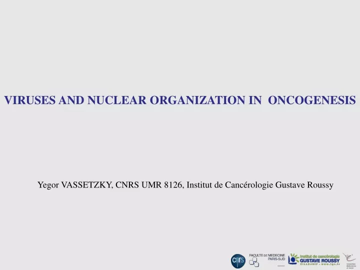 viruses and nuclear organization in oncogenesis