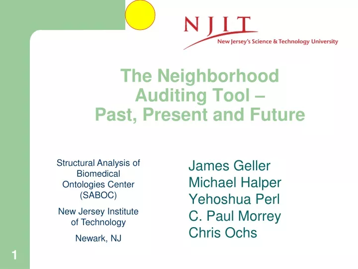 the neighborhood auditing tool past present and future