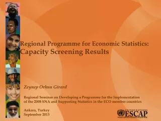 Regional Programme for Economic Statistics:  Capacity Screening Results