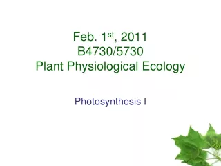 Feb. 1 st , 2011 B4730/5730 Plant Physiological Ecology