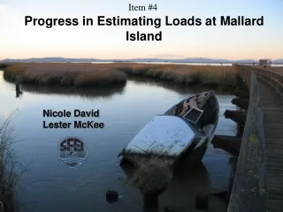 Progress in Estimating Loads at Mallard Island