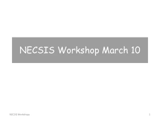 necsis workshop march 10