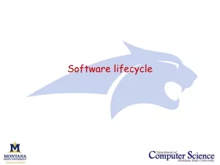 Software lifecycle