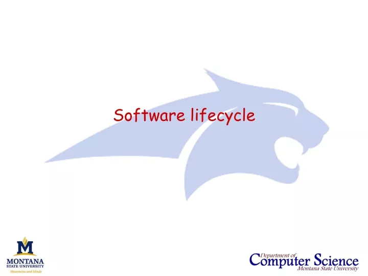 software lifecycle