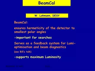 BeamCal