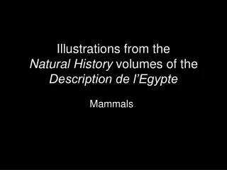 Illustrations from the Natural History  volumes of the  Description de l’Egypte