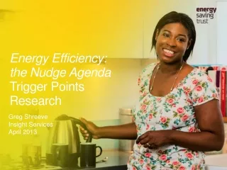Energy Efficiency:  the Nudge Agenda Trigger Points Research
