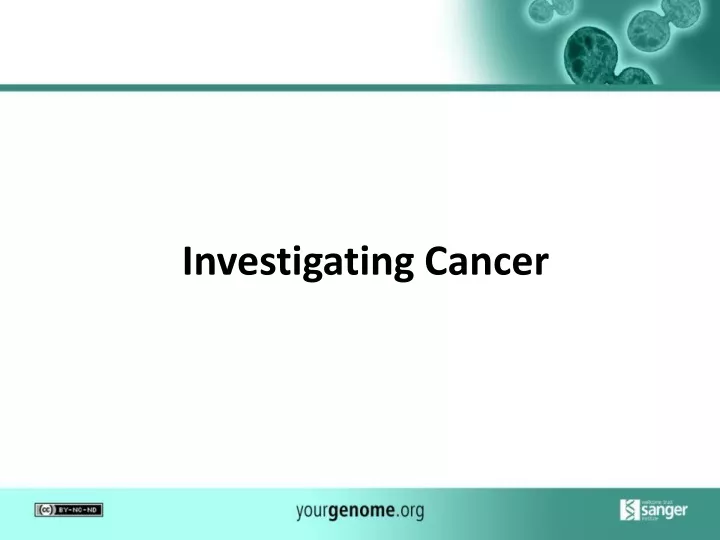 investigating cancer