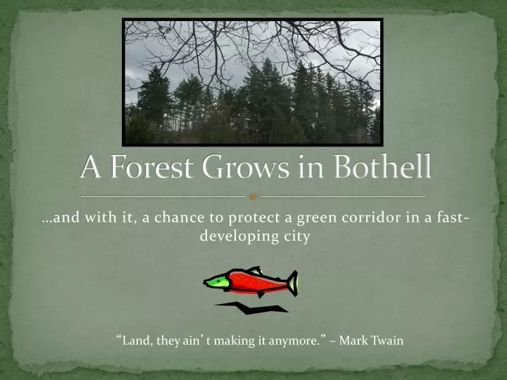 a forest grows in bothell