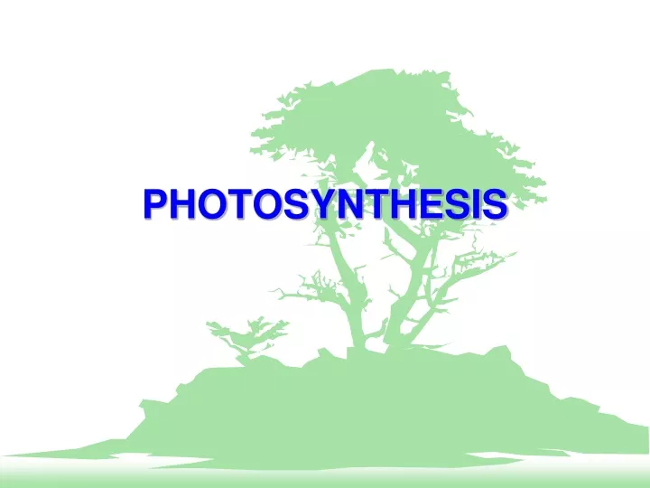 photosynthesis