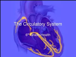 The Circulatory System