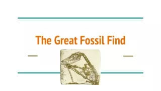 The Great Fossil Find