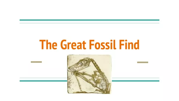 the great fossil find