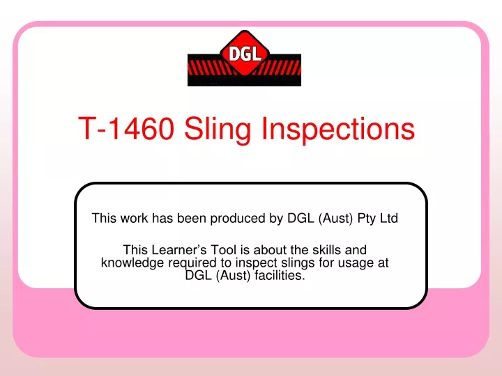t 1460 sling inspections