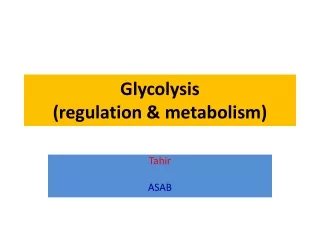 Glycolysis (regulation &amp; metabolism)
