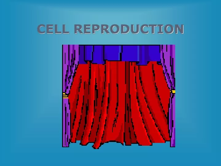 cell reproduction