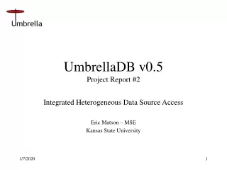 UmbrellaDB v0.5 Project Report #2