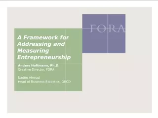 A Framework for Addressing and Measuring Entrepreneurship