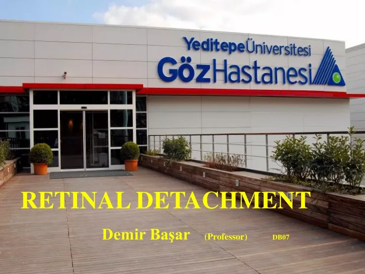 retinal detachment demir ba ar professor db07